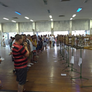 Abertura torneio estadual fibra 2019