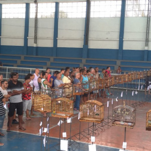 Torneio beneficente a filha do passarinheiro Maycon GB