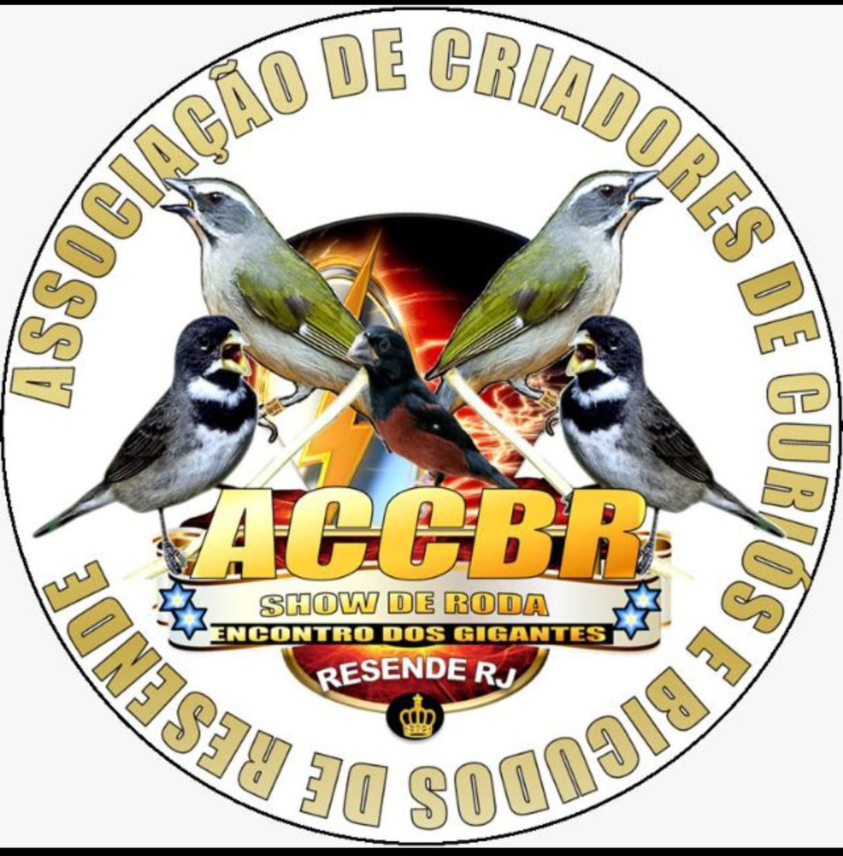 ASSOCIAÇÃO DOS CRIADORES DE CURIÓS E BICUDOS DE RESENDE