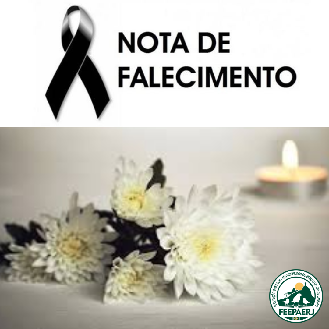 NOTA DE FALECIMENTO