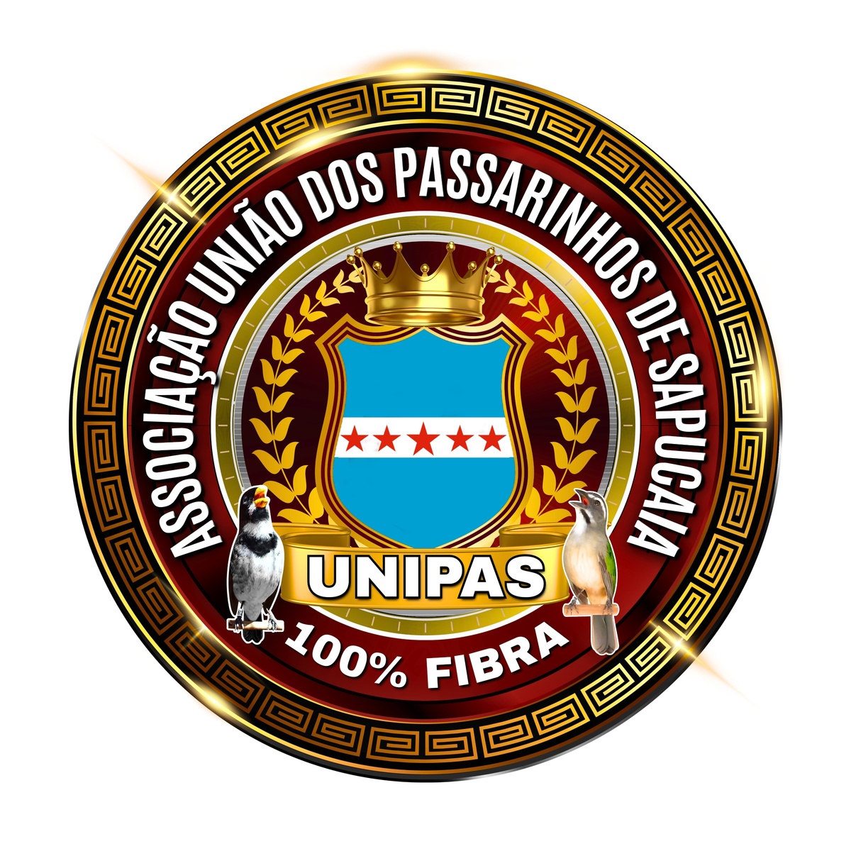 ASSOCIACAO UNIAO DOS PASSARINHOS DE SAPUCAIA