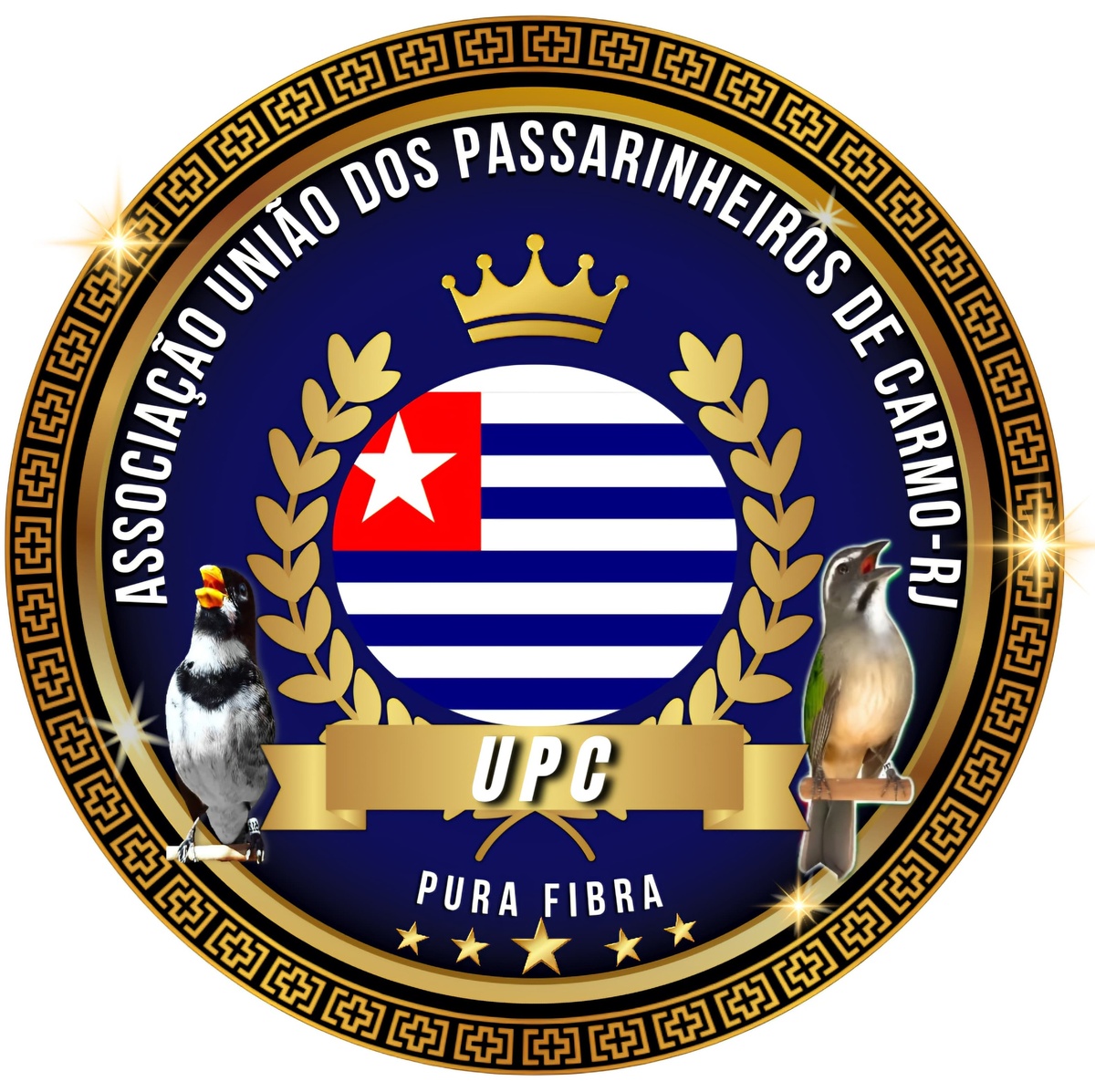 ASSOCIAÇÃO UNIÃO DE PASSARINHEIROS DE CARMO RJ