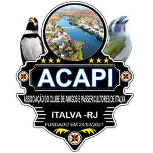 ASSOCIACAO DO CLUBE DOS AMIGOS DE ITALVA 