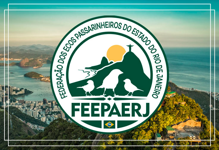 FEEPAERJ