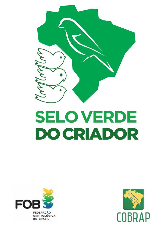 Publicado INFORMATIVO N º 006/24