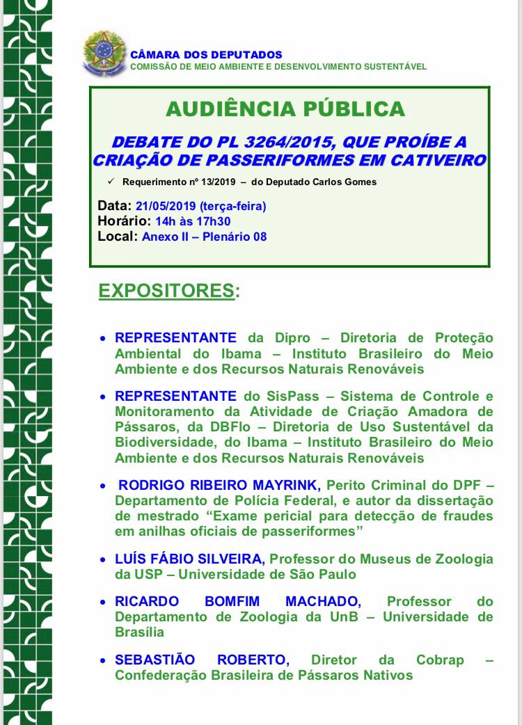 audiencia.jpg (138 KB)